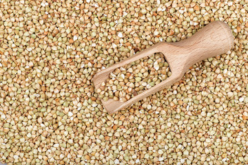 scoop on green buckwheat