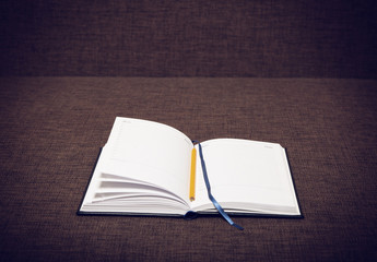 Diary and pen on the couch
