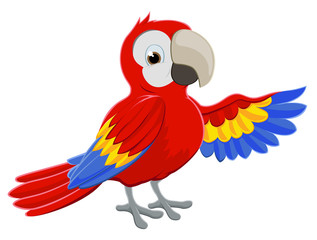 Fototapeta premium Cartoon Parrot Pointing