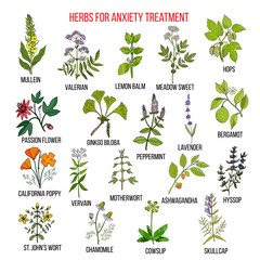 Fototapeta na wymiar Collection of herbs for anxiety treatment