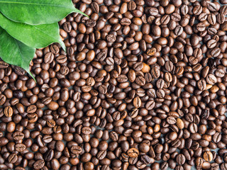 Roasted coffee beans background with green leaves, captured from top view with sharp focus