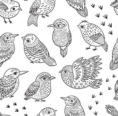 Seamless pattern with ink hand drawn exotic birds