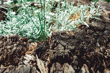 wedding rings on a tree