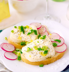 Mozzarella and ricotta roll on the wheat bread with sliced radishes, chopped ramson. Ukrainian artisanal cheeses.