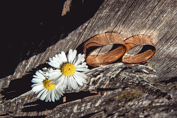 wedding ring on the old wooden stump