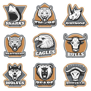 Colorful Team Sport Animals Logotypes Set