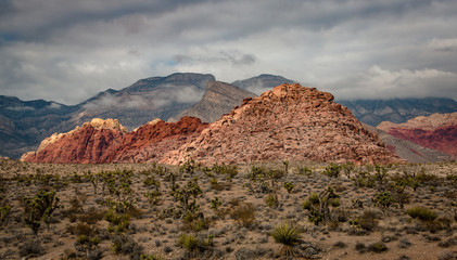Twocoloured Rock in the Red Rock Canyon National Conservation Area