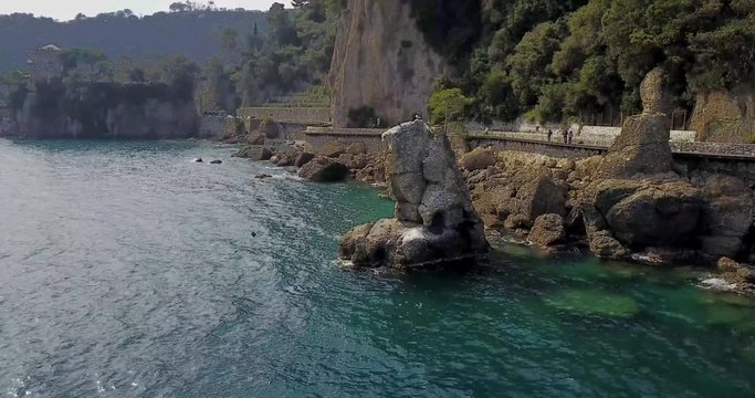 Lo Scoglio della Cadrega, pino marittimo albero, vista aerea, Lungomare tra Santa Margherita Ligure e Portofino, Paraggi, Liguria, Italia
