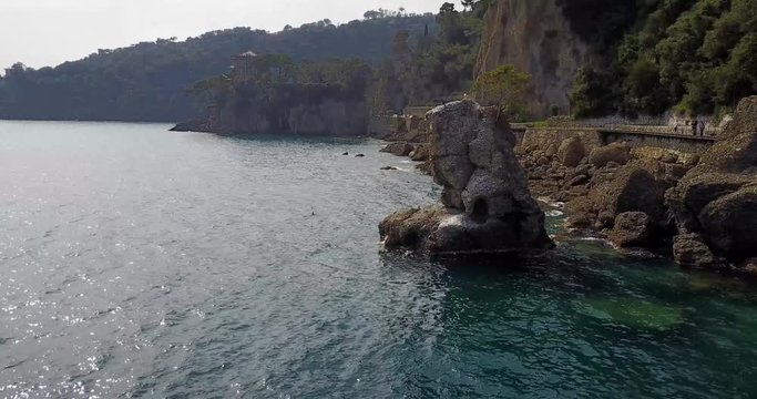 Lo Scoglio della Cadrega, pino marittimo albero, vista aerea, Lungomare tra Santa Margherita Ligure e Portofino, Paraggi, Liguria, Italia
