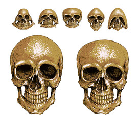 Human skulls and skull monsters