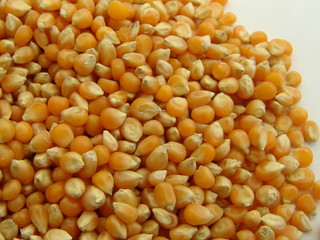 corn