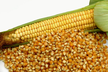 corn