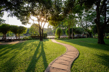 Beautiful urban park in sunny day of Bangkok city, Thailand. Small concrete walkway on green grass lawn in the park with warm sunlight at sunset time, outdoor landscape photography