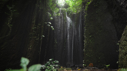 Mysterious waterfall, located in a hidden place of the eyes, lit by sunlight from above. Jets waterfall fall to the bottom of the growing plants that move because of falling water on them