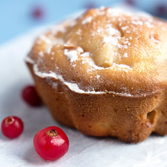 Fresh juicy cake and baking with cranberry berries with selective focus