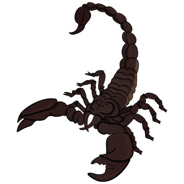 Vector cartoon mascot illustration black scorpion