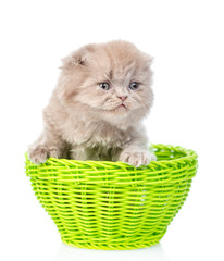 Funny kitten sitting in green basket. isolated on white background