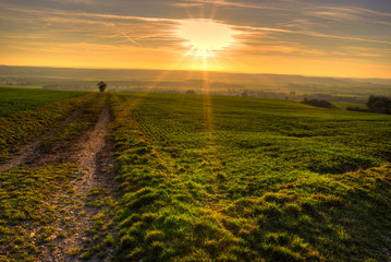 Feldweg in der Abendsonne