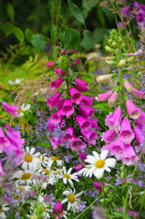 колокольчики