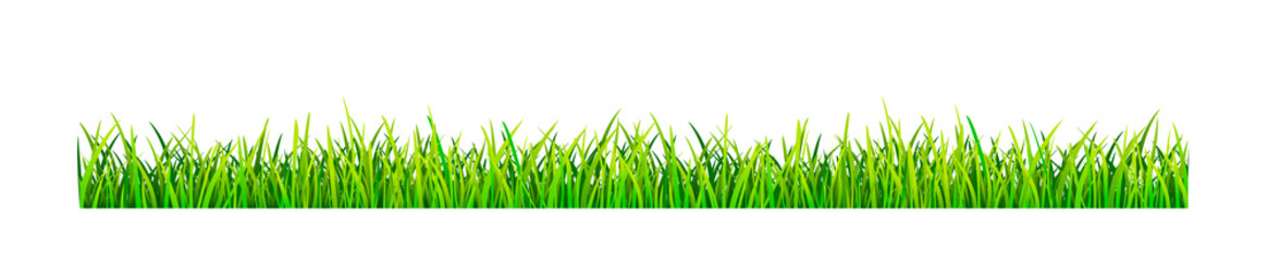 Fototapeta premium Grassy lawn