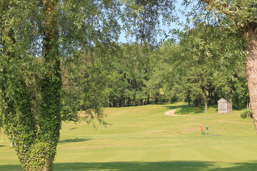 fairway de golf
