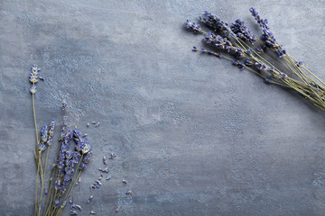 Naklejka premium Bunch of lavender flowers on grey background