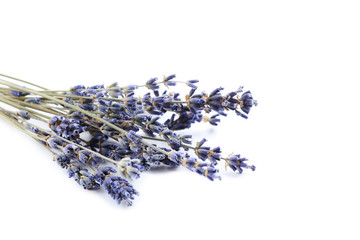 Bunch of lavender flowers isolated on a white