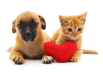 Puppy and kitten with heart.