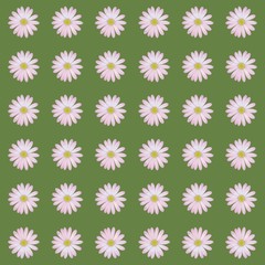 Gänseblümchen auf grünem Hintergrund