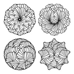Vector decorative round floral elements set