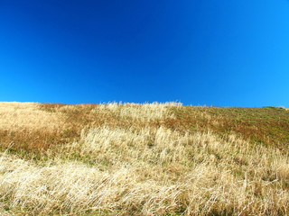 早春の江戸川土手風景