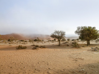 desert scenery in Namibia