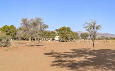 settlement in Namibia