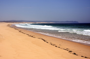 Belmont Nine Miles beach on a sunny day in summertime. Redhead Point in the background (Central Coast, NSW, Australia).