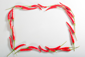 Fototapeta premium Red pepper chilli