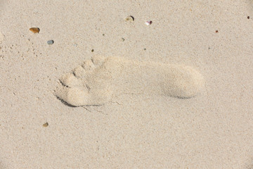 human footprint in the sand