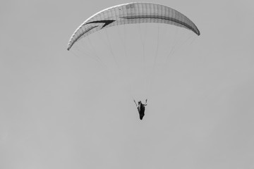 hang-gliders on a background of clear sky - black and white