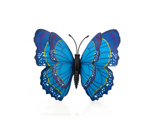 Beautiful blue butterfly on white background with shadow