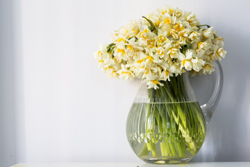 Narcissus
