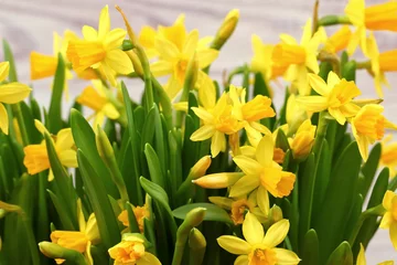 Photo sur Plexiglas Narcisse Simple composition with daffodils.