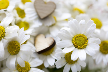 Obraz premium Daisy and Heart