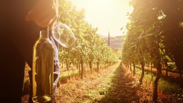 Vineyards with man walking on field with bottle of white wine for picnic