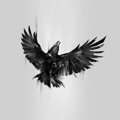 Drawn flying up isolated raven on a gray background