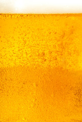 Fresh Beer Close-up Background
