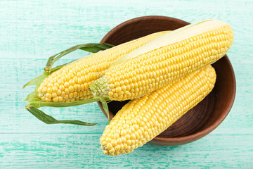 Corn on a blue background