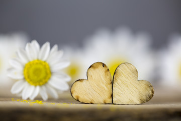 Daisy and Heart