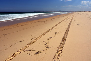 Horizontal landscape of the beach with tyre track in the foreground and dramatic clouds (Belmont, Nine Miles Beach, NSW, Australia)