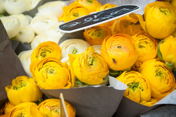 pivoines chez le fleuriste  © pixarno