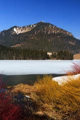 Spitzingsee on ice