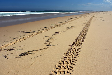 Horizontal landscape of the beach with tyre track in the foreground and dramatic clouds (Belmont, Nine Miles Beach, NSW, Australia)